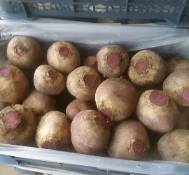 Red Beetroots