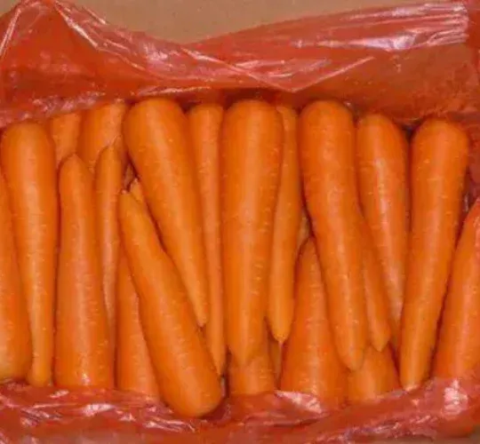Carrot
