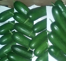Cucumbers