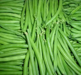 Green Beans