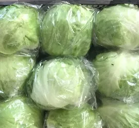 Iceberg Lettuce