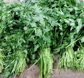 Parsley