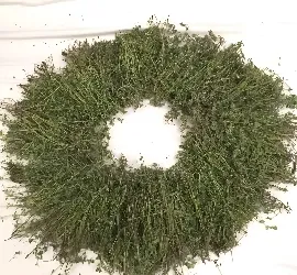 Thyme