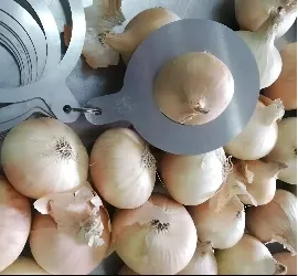 Yellow Onions